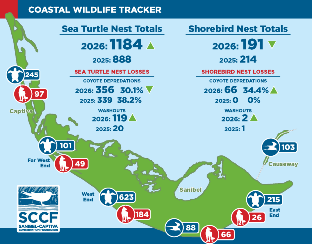 SCCF issues monthly wildlife tracker - SANIBEL-CAPTIVA