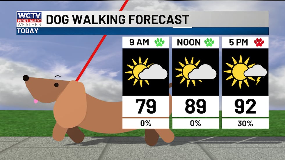 As you walk the dog today, plan on a hot afternoon with scattered storms.