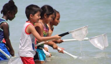 Youths explore beach with Sanibel Sea School - SANIBEL-CAPTIVA