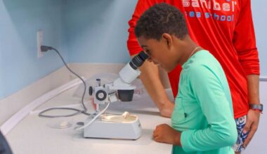 Sanibel Sea School hosts summer camp - SANIBEL-CAPTIVA