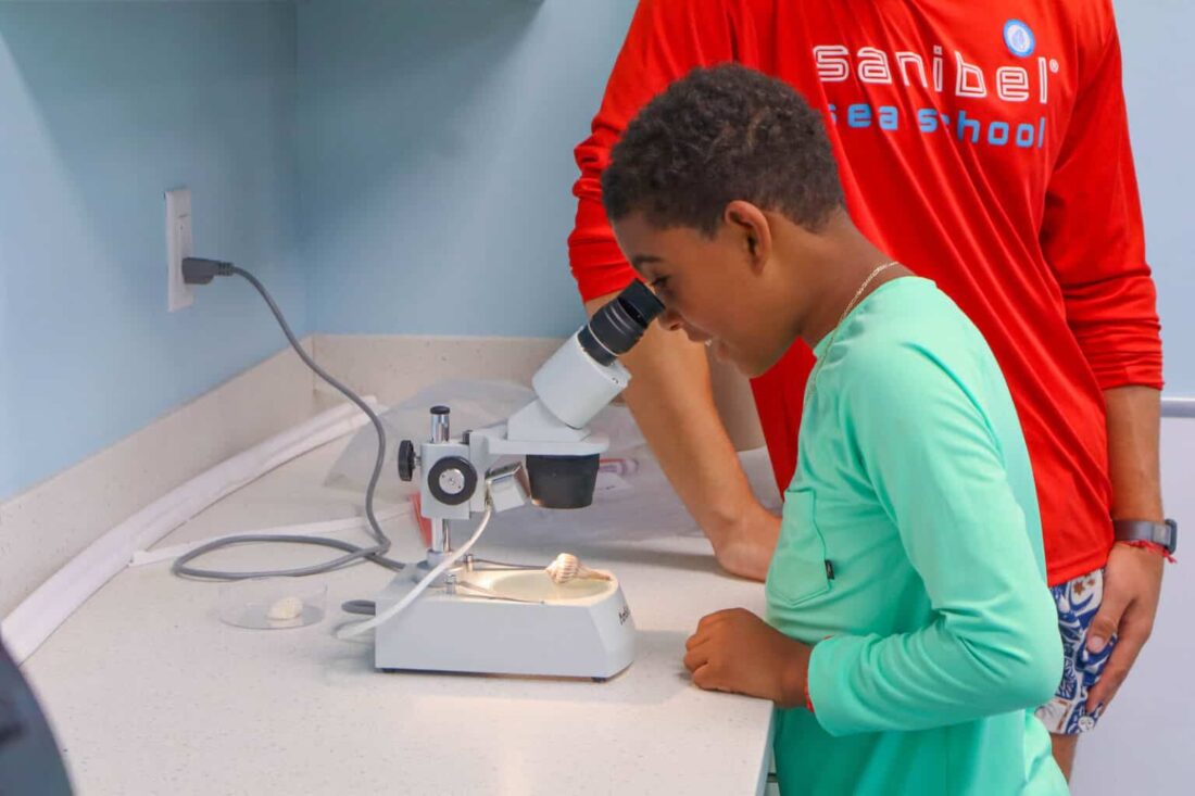 Sanibel Sea School hosts summer camp - SANIBEL-CAPTIVA