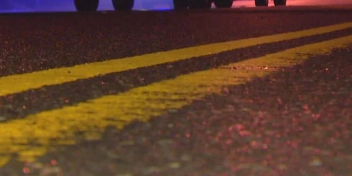 Pinellas Park man dies after being struck by vehicle
