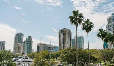 The City of St. Petersburg 2026 Primary Election Guide