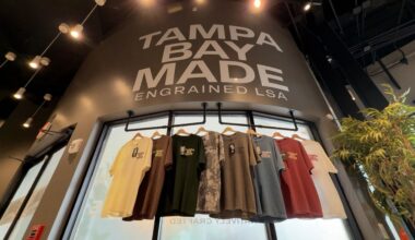 Tampa small businesses grow as applications hit record high