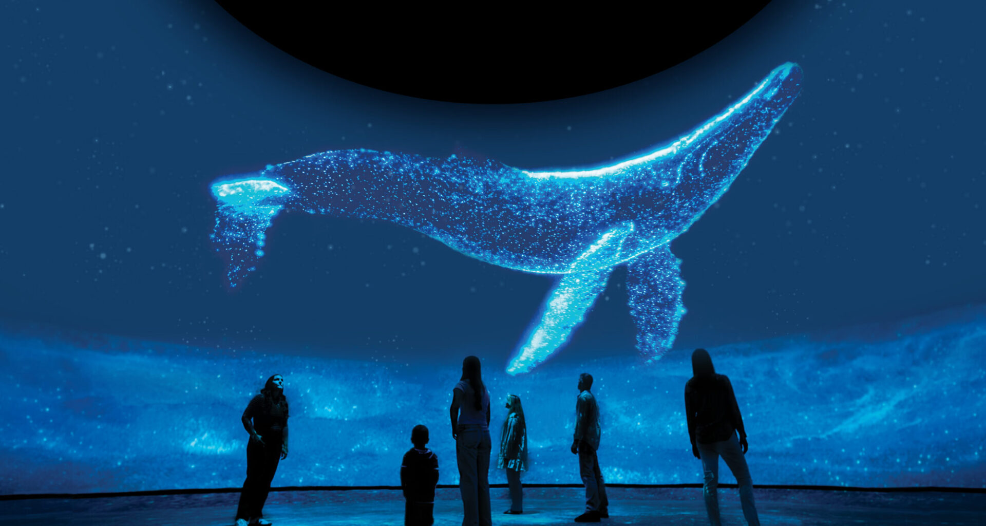Dome After Dark: Surreal Nature