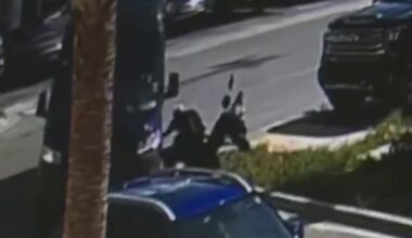 Video shows driver hit man in wheelchair and flee in Dania Beach – NBC 6 South Florida