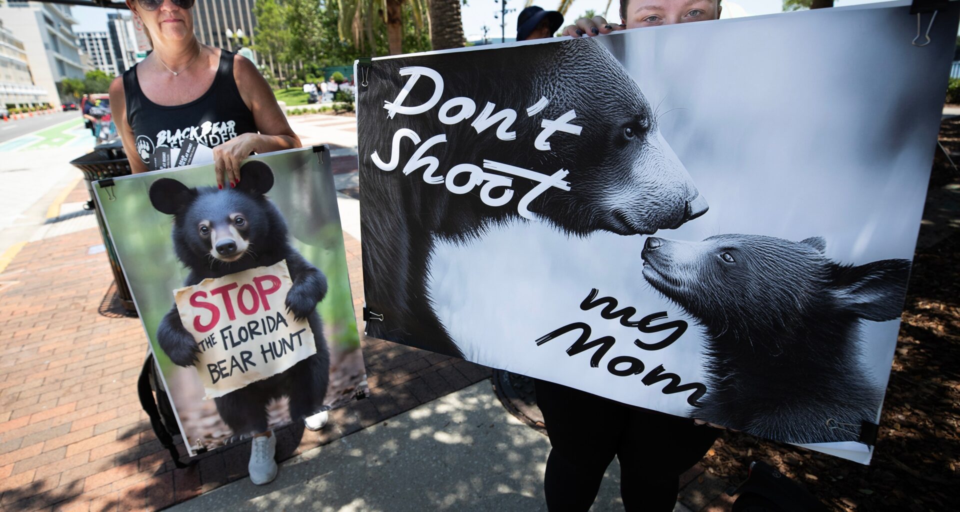 Florida bear hunt set to begin Dec. 5 with a higher quota.