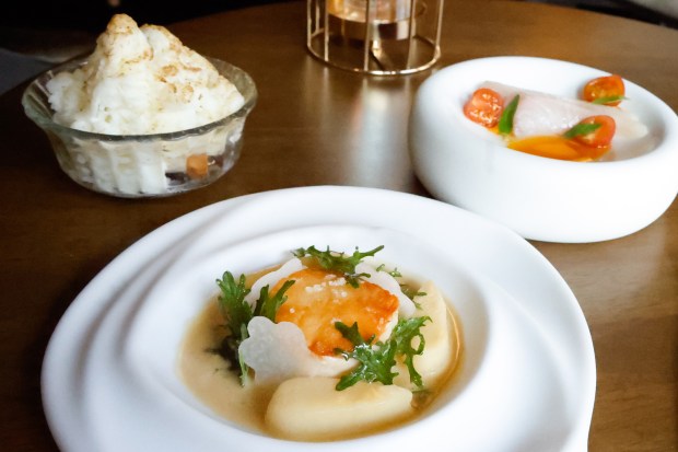 Omo by Jont presents black cod with California sake, clams, and turnips, front; Hiramasa with tomato and gochujang, right; and kakigori, shaved ice with hazelnut, kinako and chocolate as part of Visit Orlando's Magical Dining menu at the Michelin-starred restaurant in Winter Park. (Rich Pope/ Orlando Sentinel)