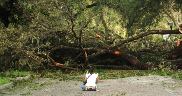 Lia Piantini sits on Livingston Street in Colonialtown and makes a phone call as a huge tree downed by Hurricane Charley blocks the street on Aug. 14, 2004. (Orlando Sentinel file)
