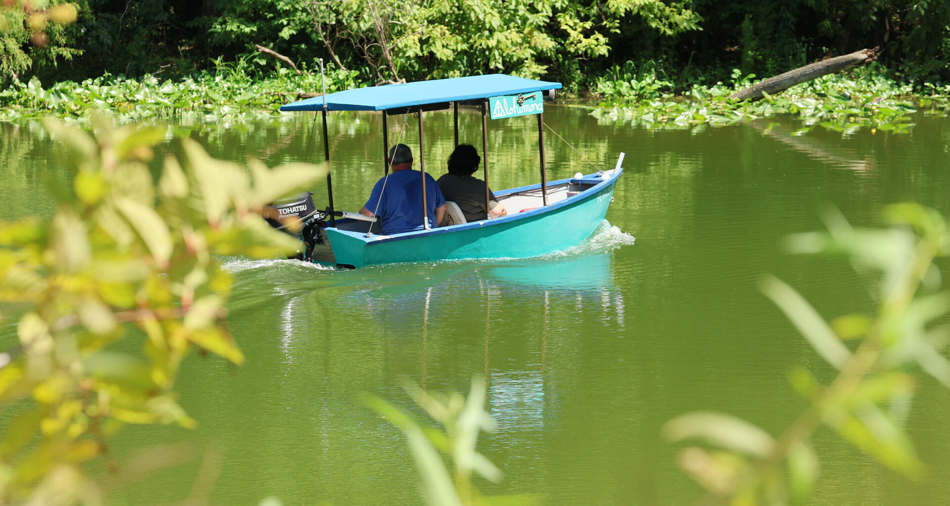 Experts: Drought, risky behavior lead to alligator attacks