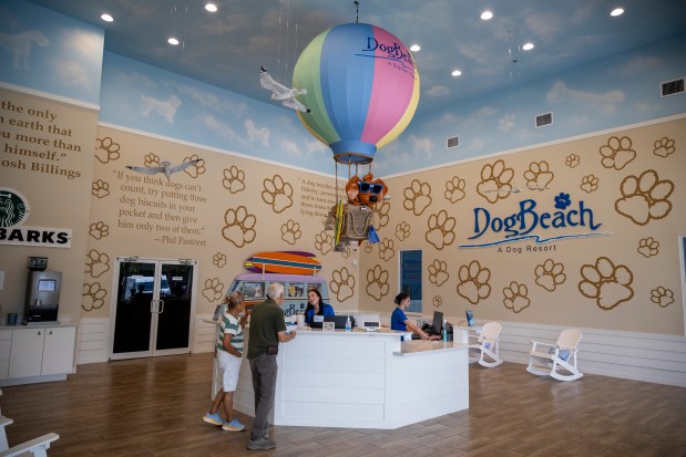 DogBeach Orlando invites visitors in with a whimsical atmosphere and summer camp theme in Casselberry on July 29, 2026. (Patrick Connolly/Orlando Sentinel)