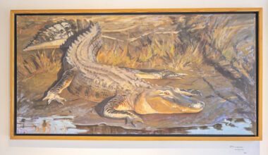 'Florida Roots' in Winter Garden highlights Sunshine State art