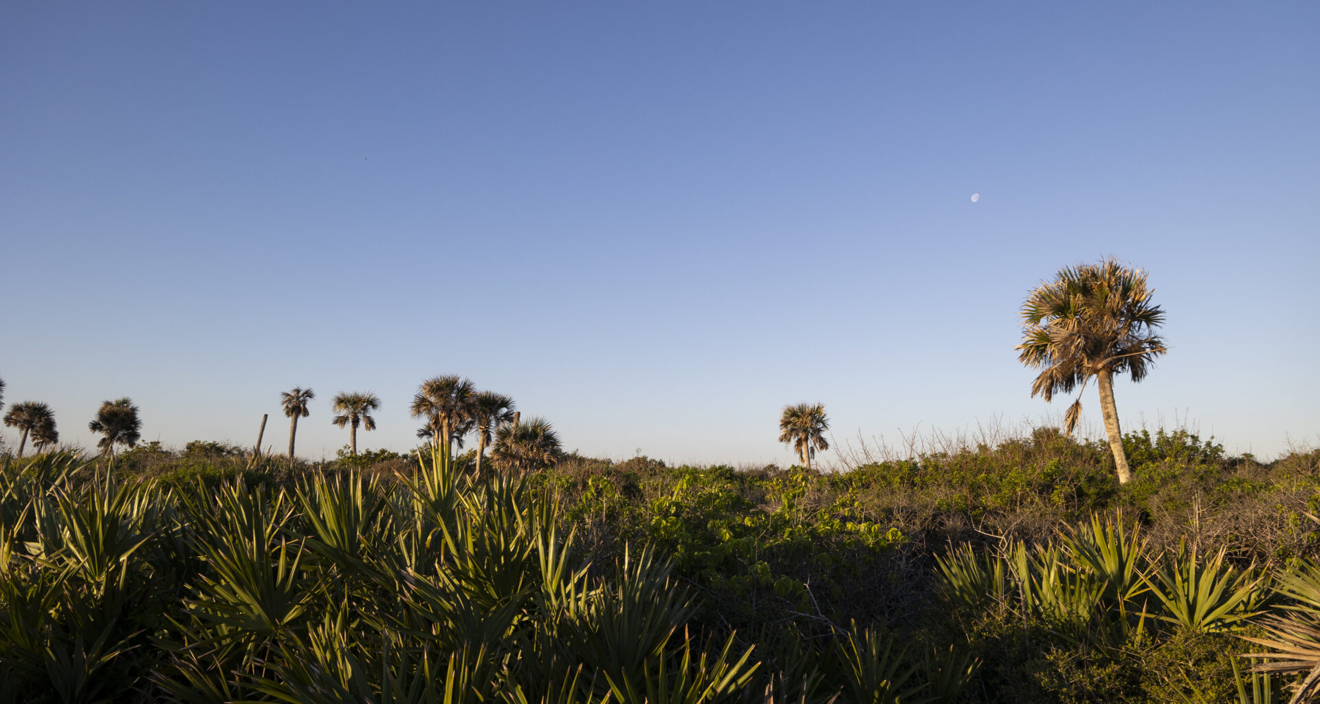 Guest Commentary: Space industry brings new threats to Mosquito Lagoon – Orlando Sentinel