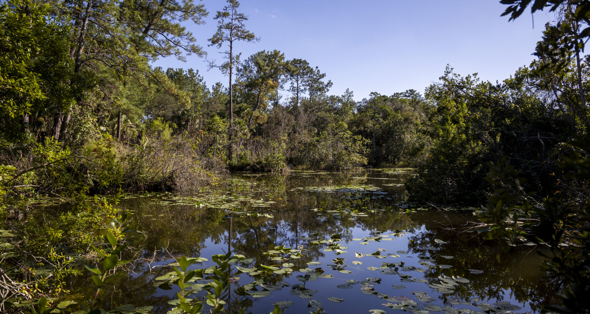 Guest Commentary: Florida’s public parks should not require an appointment – Orlando Sentinel