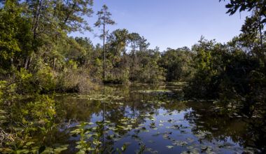 Guest Commentary: Florida’s public parks should not require an appointment – Orlando Sentinel