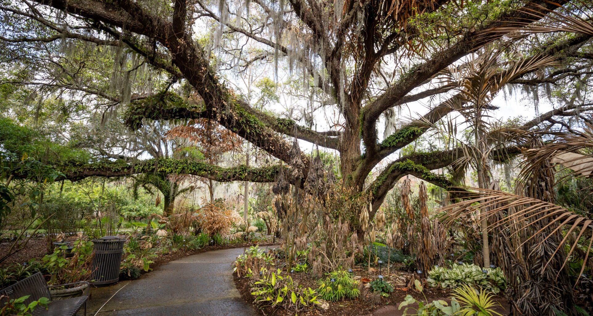 Orlando shelves controversial Leu Gardens plan