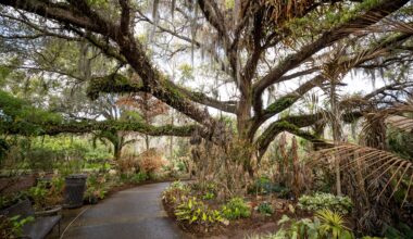 Orlando shelves controversial Leu Gardens plan