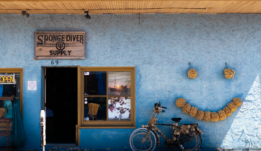 Coastal Film Lab of Tampa and Central Florida Photo Club will lead a photowalk through Tarpon Springs