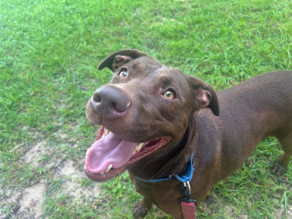 This easy going girl is ready to find her happy ever after ... a loving, loyal family!