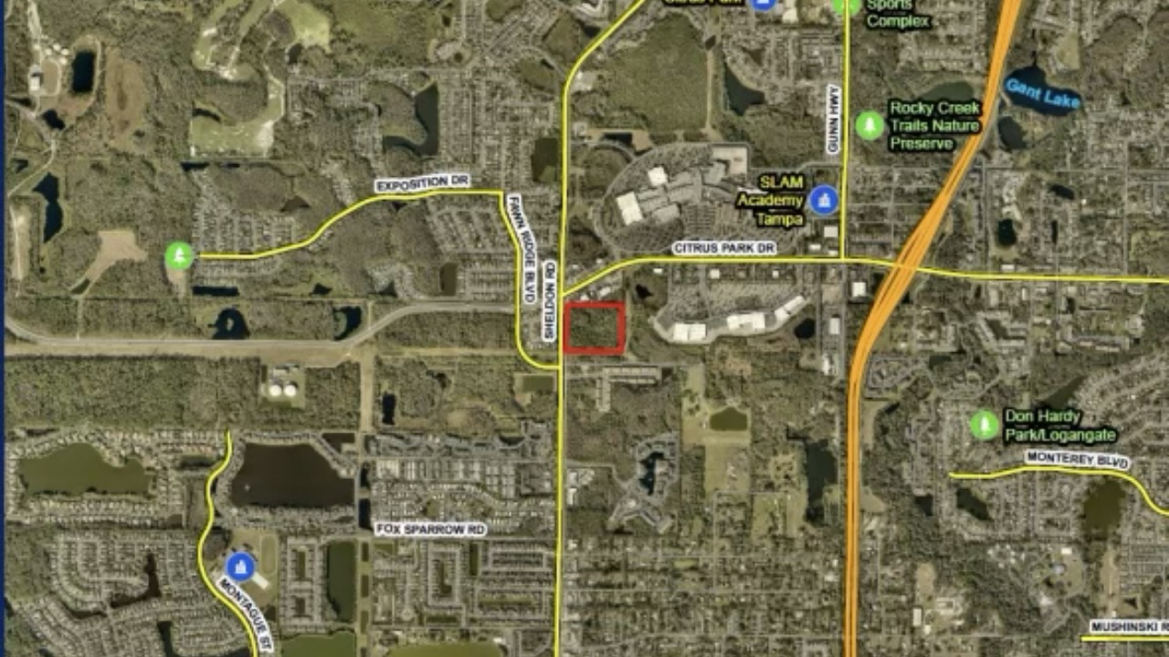 Aerial map showing the proposed Citrus Park apartment development site along Sheldon Road near Citrus Park Drive in Tampa.