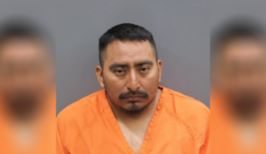 Tampa man faces 103 charges in child sexual abuse material case