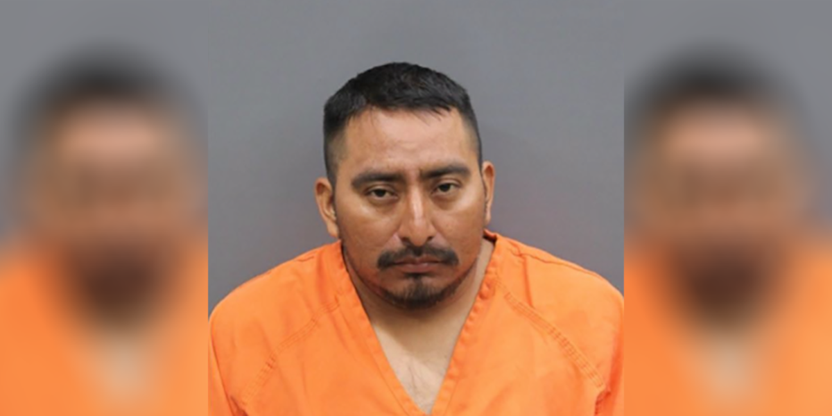 Tampa man faces 103 charges in child sexual abuse material case