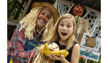 Orlando Brews Up 90+ Days of Halloween Fun for the Destination's Longest Spooky Season Yet