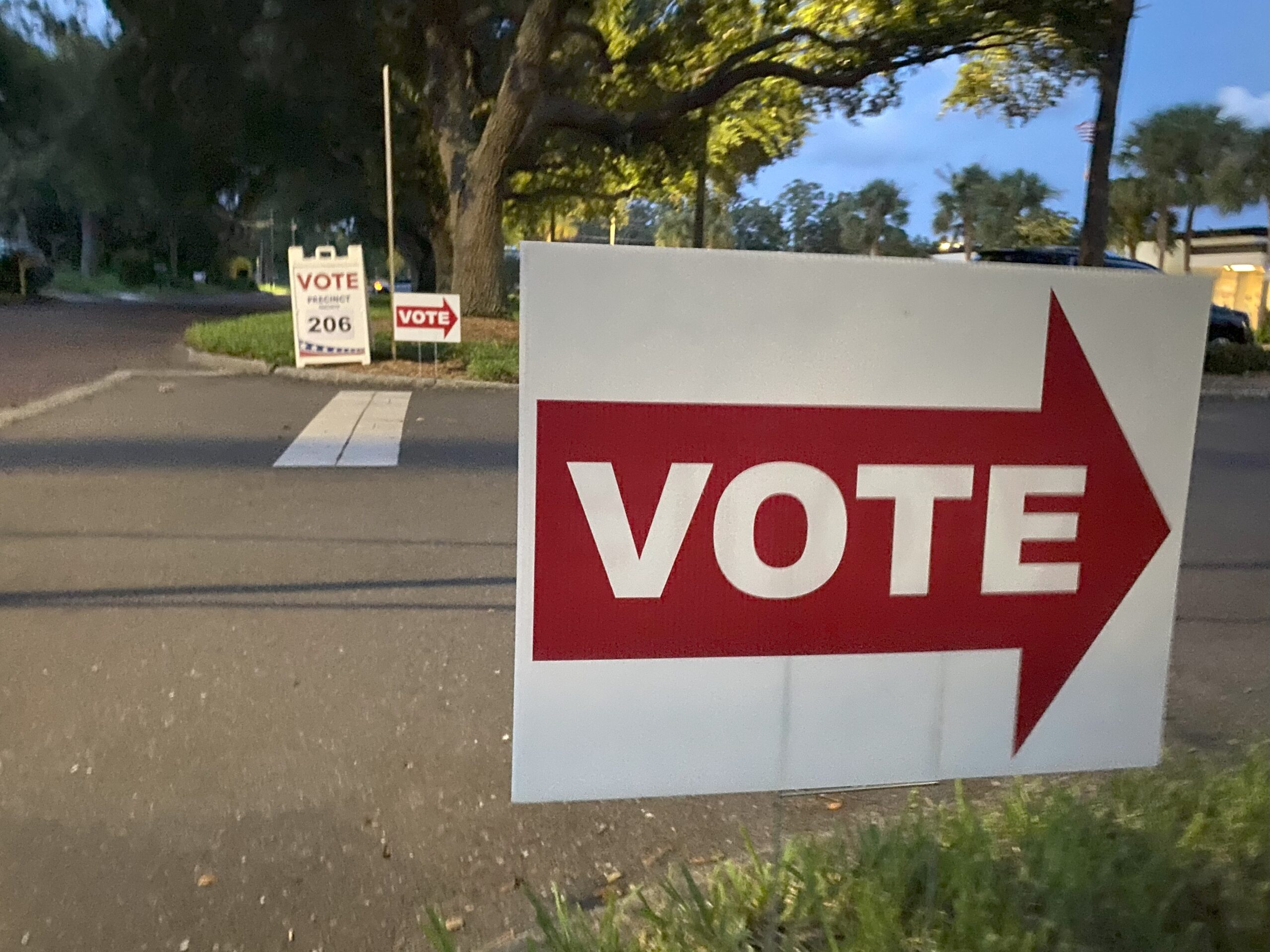 election voting