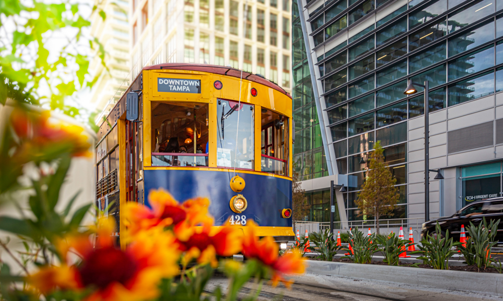 Tampa Bay Downtown Living Guide 2026