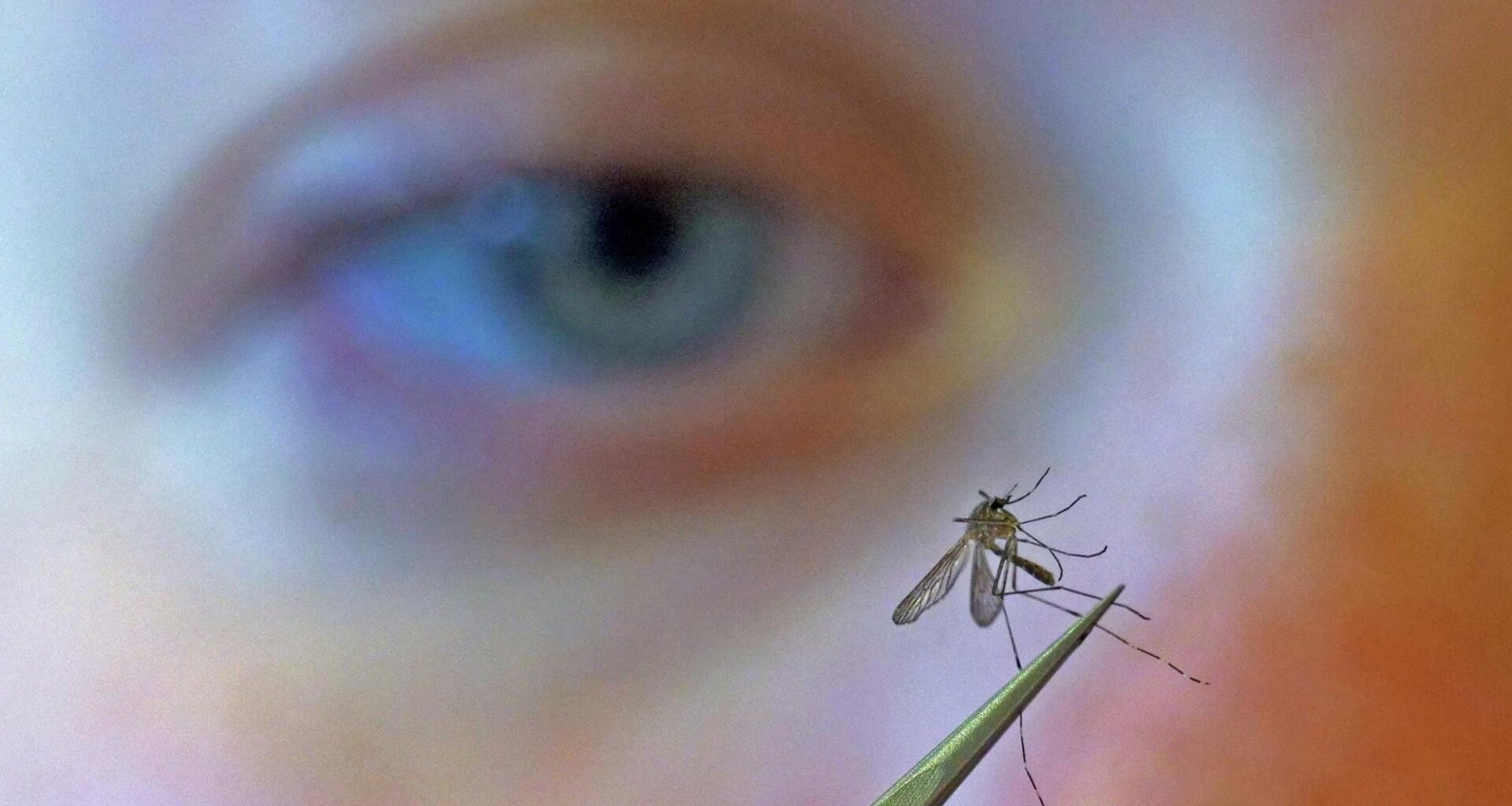 Orange County issues alert for mosquito-borne West Nile virus