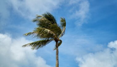 Residents clean up after EF0 tornado hits Port St. Lucie