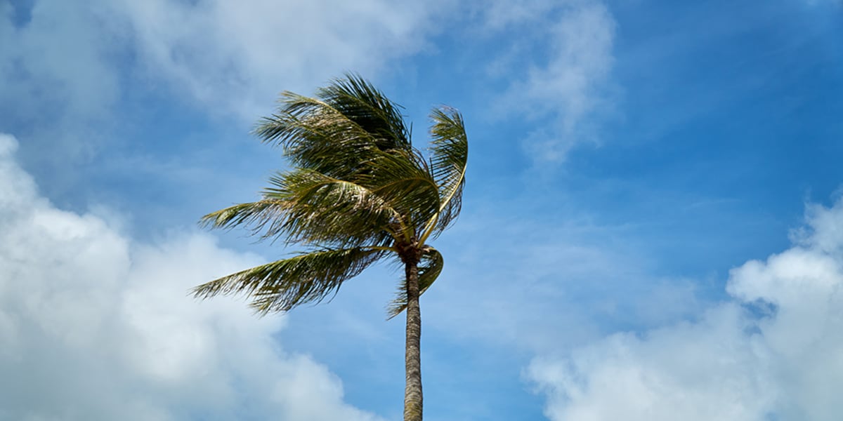 Residents clean up after EF0 tornado hits Port St. Lucie