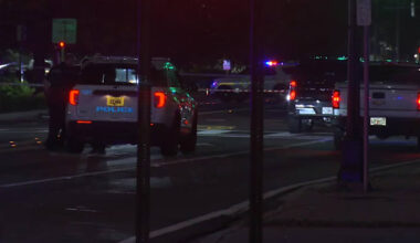 Pedestrian hit and killed while crossing Park Street in Riverside