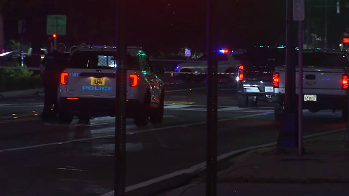 Pedestrian hit and killed while crossing Park Street in Riverside