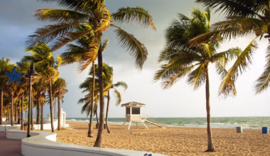 Discover Fort Lauderdale is far more than just a cruise port. Linger longer to explore its postcard beaches, innovative cuisine and maze of mansion-lined canals. Plan December to April brings the best weather, but also the biggest crowds. The shoulder months of May and November are compelling alternatives. Avoid the college spring-break crowds in March and peak hurricane season from July to October. Book Opposite the beach, the stylish AC Hotel by Marriott Fort Lauderdale Beach has 171 spacious rooms, many with views of the Atlantic Ocean or the Intracoastal Waterway. Facilities include a gym, pool, communal lounge and complimentary beach chairs and bike hire. Several airlines offer one-stop services to Fort Lauderdale, including Qantas, United and Delta. Flying out of Orlando or Miami? Consider catching Brightline, an excellent high-speed rail service that runs between Miami and Orlando, with stops in Aventura, Fort Lauderdale, Boca Raton and West Palm Beach. The writer was a guest of the Greater Fort Lauderdale Convention & Visitors Bureau.