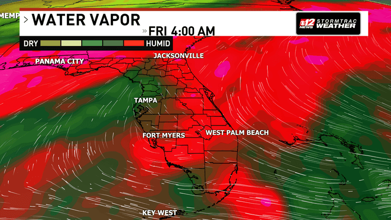 Stronger storms could bring gusty winds, hail and heavy rain to South Florida. (WPEC)