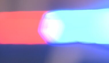 3 children unharmed after man and woman killed in Tampa shooting: TPD