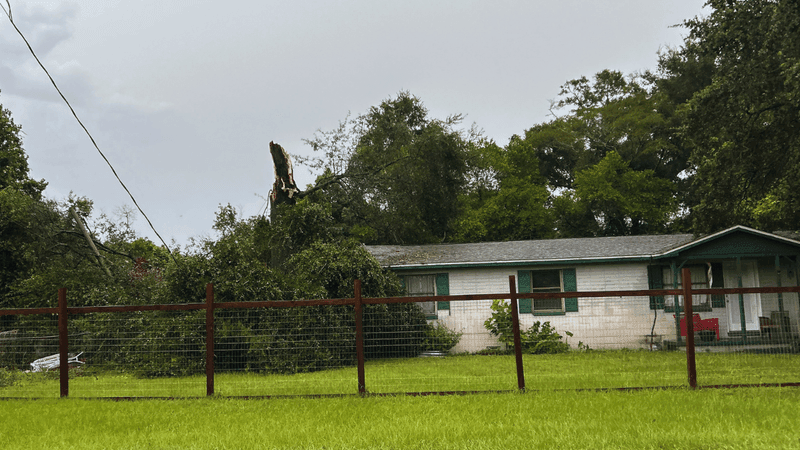 {p}A tree fell on a home in the Brent area on Wednesday evening as storms rolled across Northwest Florida. (WEAR){/p}