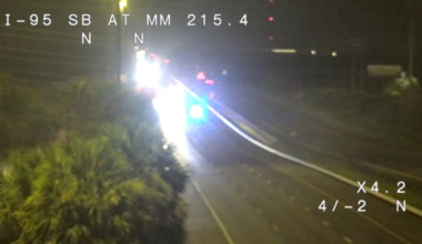 Alligator on Florida highway causes fatal crash