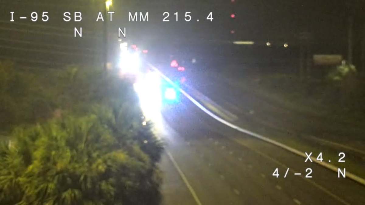 Alligator on Florida highway causes fatal crash
