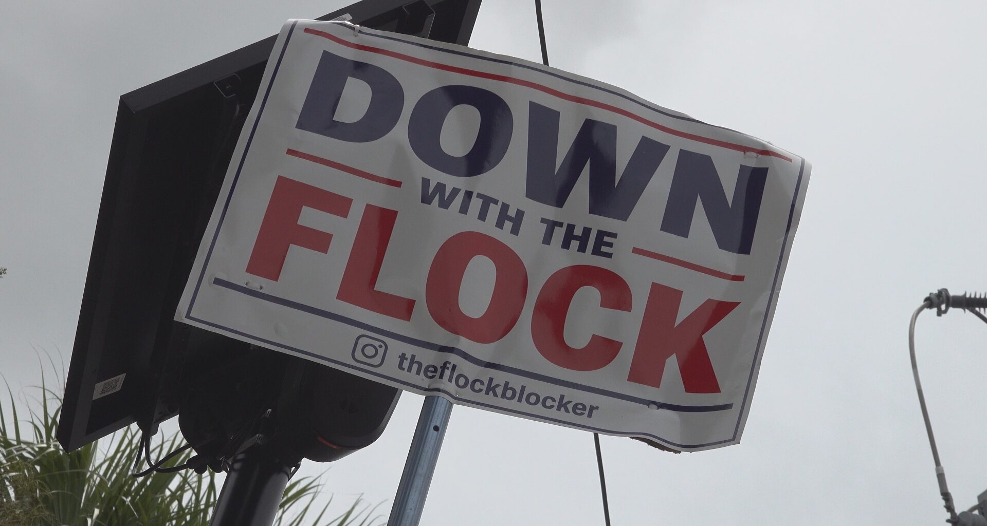St. Pete man's 3-week protest against license plate cameras draws national attention