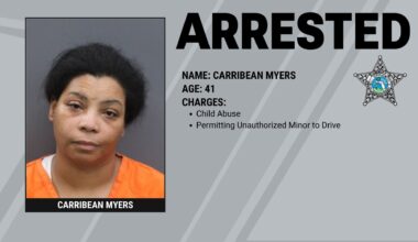 Riverview Mother Arrested After Letting Child Drive to Gas Station