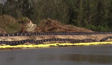 Seven Islands Property stabilization begins Tuesday in Cape Coral after mangroves were removed