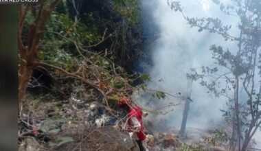 Four from South Florida among 7 killed in Kenya helicopter crash during safari trip