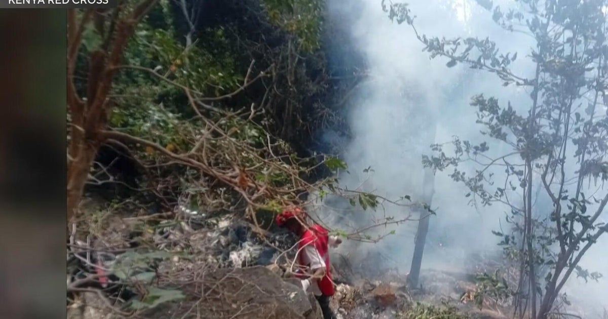 Four from South Florida among 7 killed in Kenya helicopter crash during safari trip