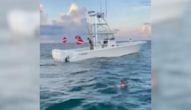 Family of South Florida man accused of trying to kill diver says allegations are "categorically false"