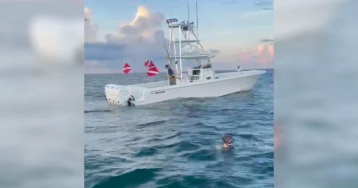 Family of South Florida man accused of trying to kill diver says allegations are "categorically false"