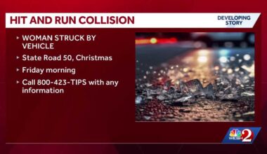 Officials searching for driver after Christmas hit-and-run