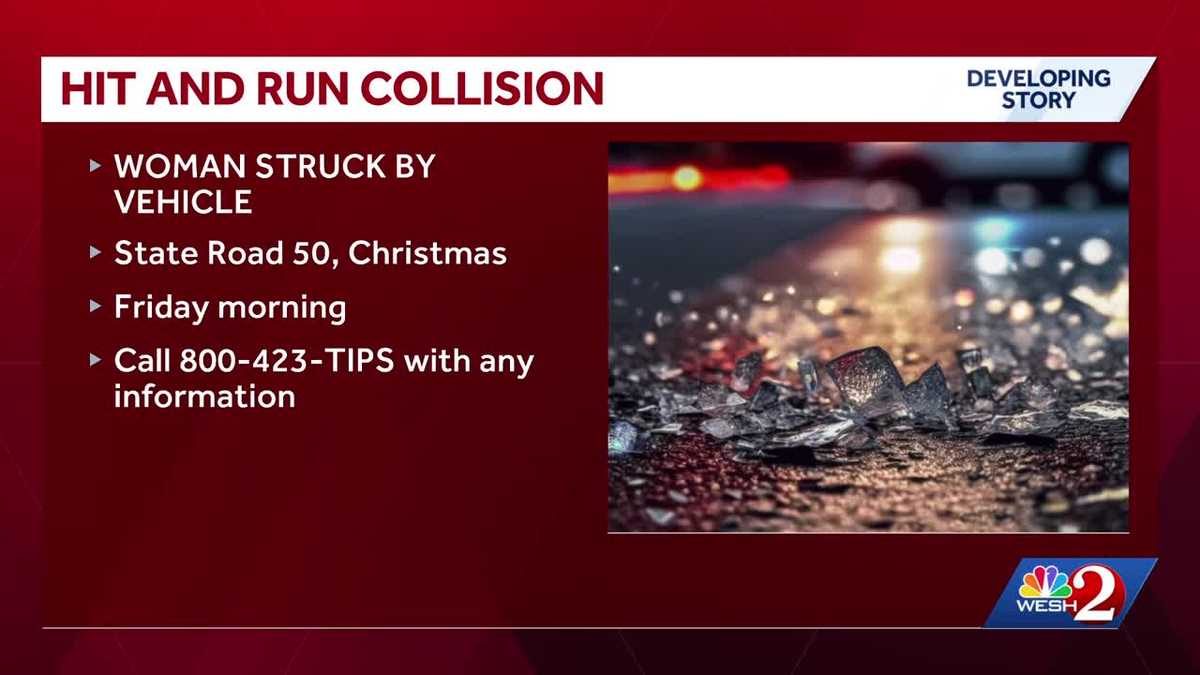 Officials searching for driver after Christmas hit-and-run