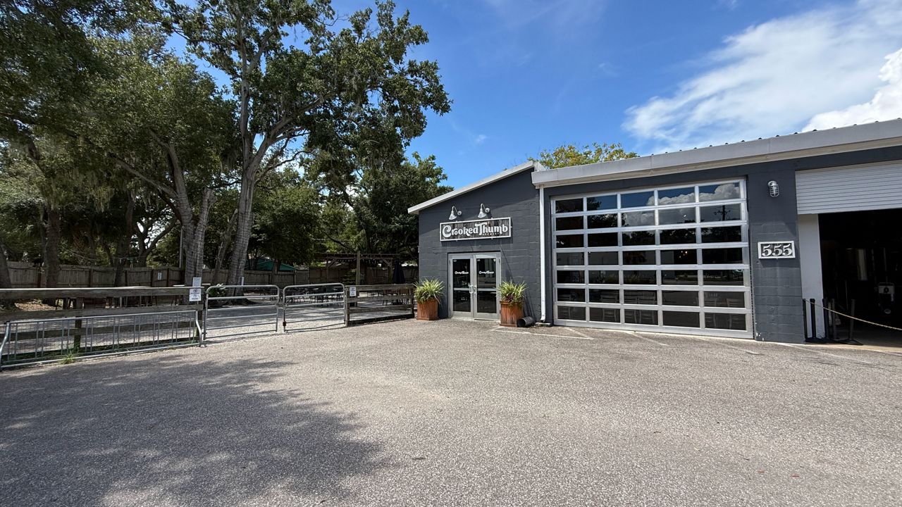 Safety Harbor ordinance gives microbreweries food options